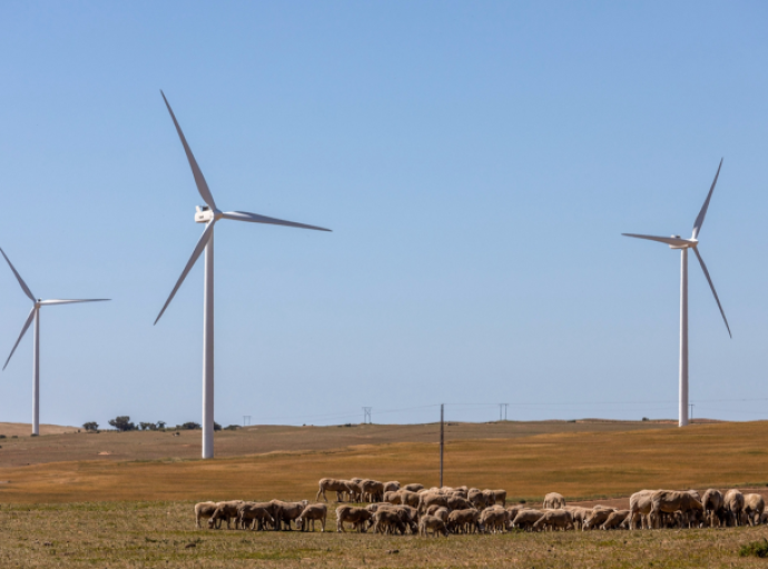 Transition écologique : Quels sont les intérêts de l'Afrique ?